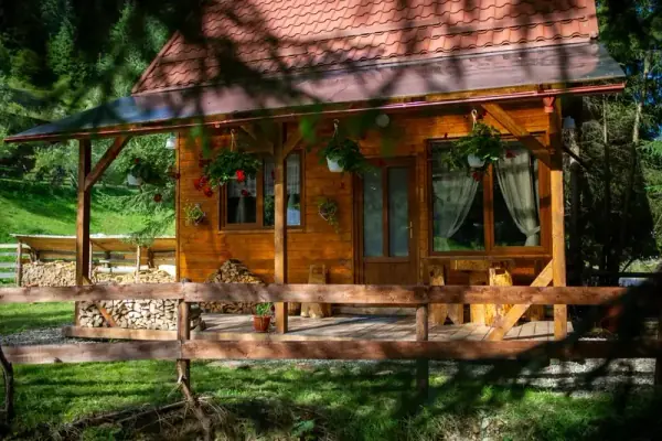 Exterior view of Pura Vida Forest Home — mountain forest cabin surrounded by Carpathian trees in Poiana Horea, Romania