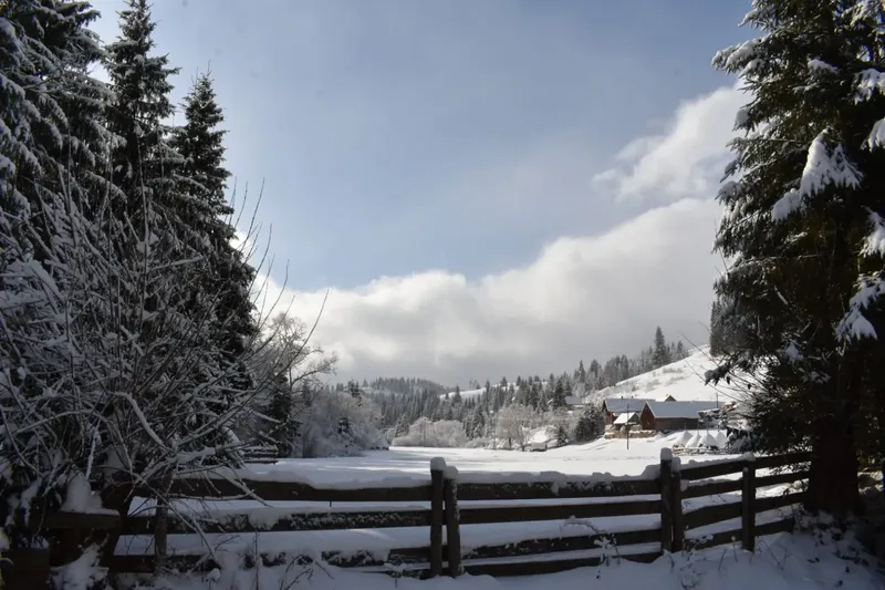 winter view - IMG-20241207-WA0019