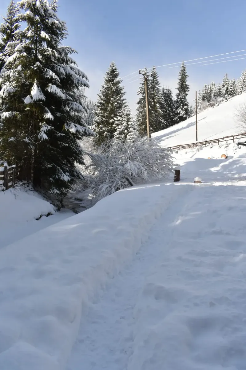 winter view - IMG-20241207-WA0020