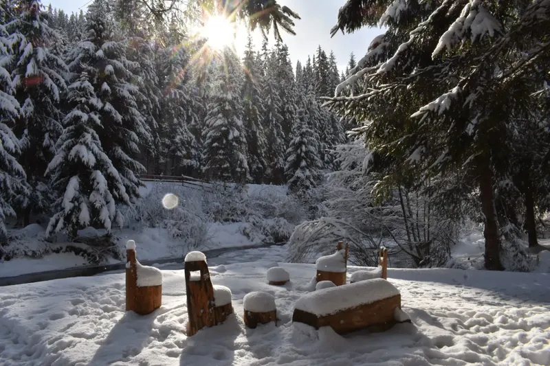 winter view - IMG-20241207-WA0021