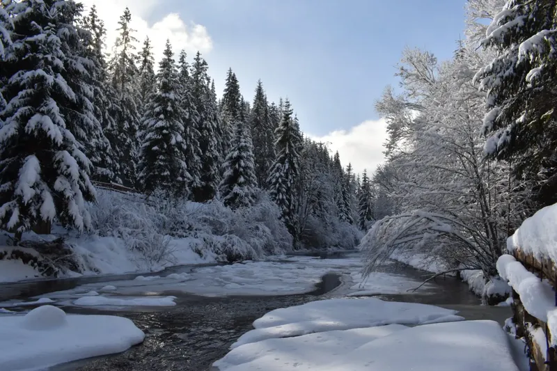 winter view - IMG-20241207-WA0025