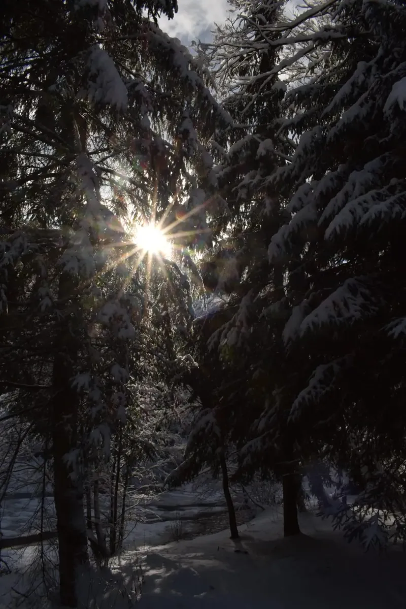 winter view - IMG-20241207-WA0026