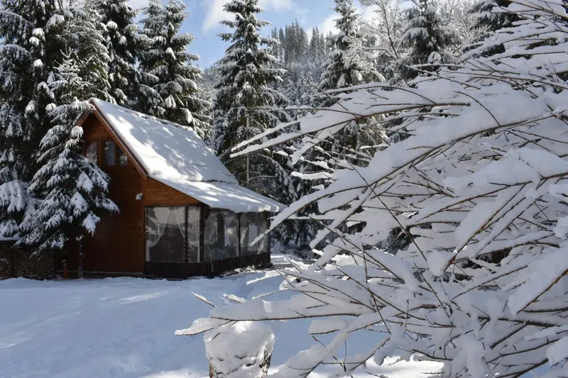 winter view - IMG-20241207-WA0029