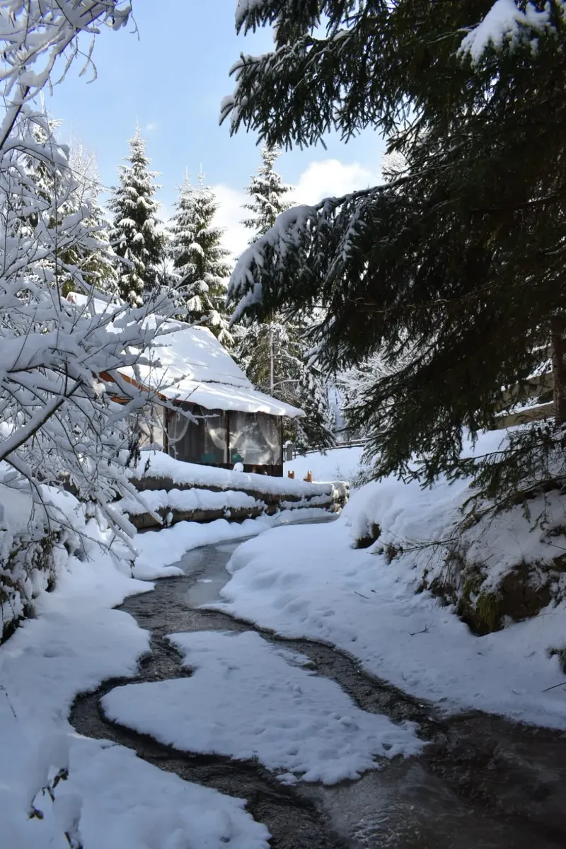 winter view - IMG-20241207-WA0030