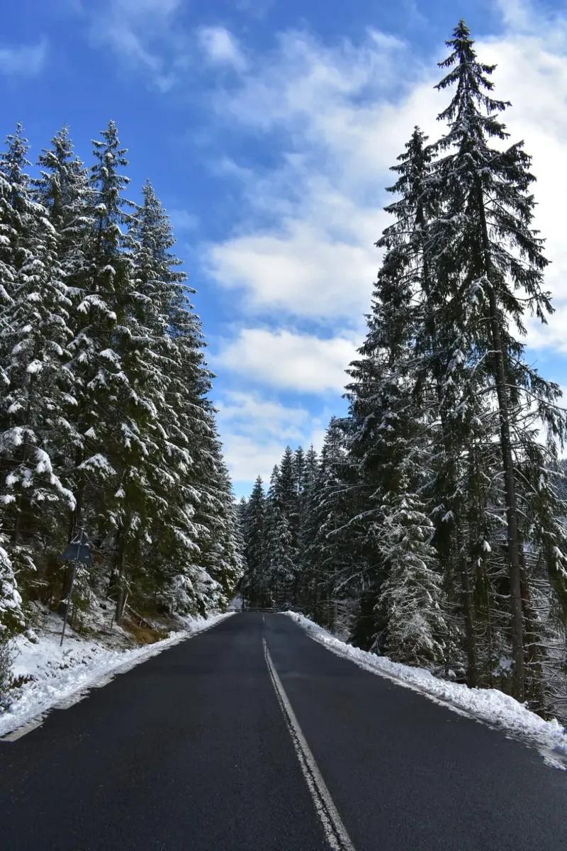 winter view - IMG-20241207-WA0033