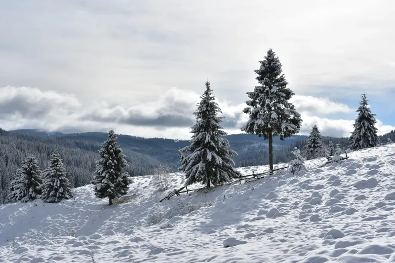 winter view - IMG-20241207-WA0034