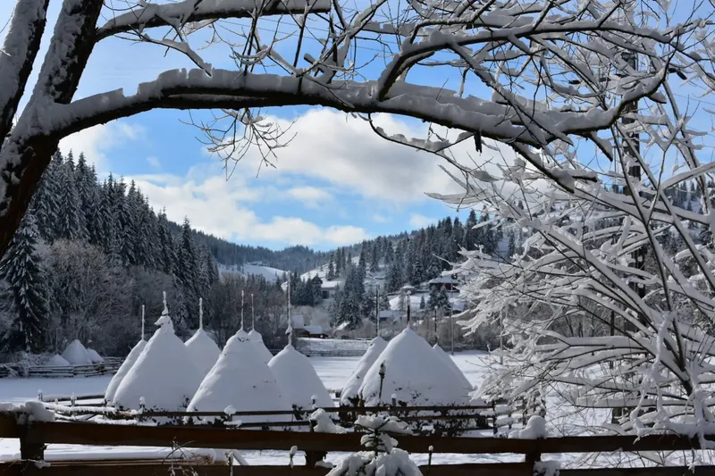 winter view - IMG-20241207-WA0036